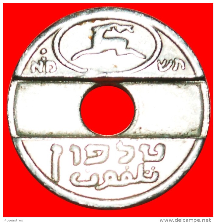 • JUST PUBLISHED: PALESTINE (israel) ★ TELEPHONE TOKEN 5741 (1981)! LOW START&#9733;NO RESERVE! - Professionals / Firms