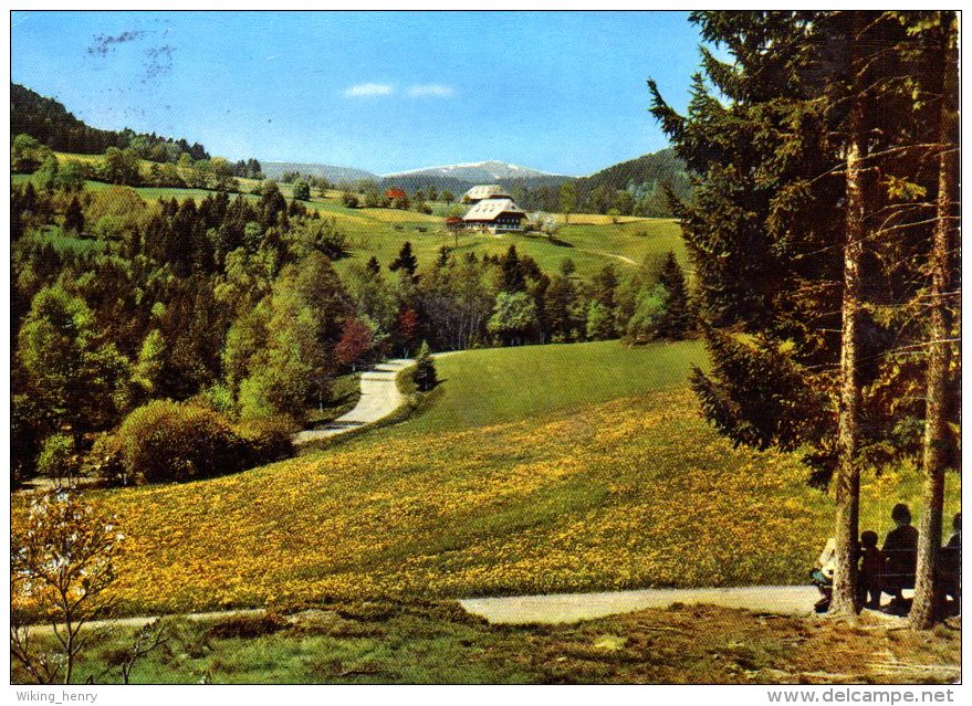 Hinterzarten - Feldbergblick - Hinterzarten