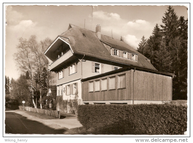 Hinterzarten - S/w Maria Von Marschall Haus 1 - Hinterzarten