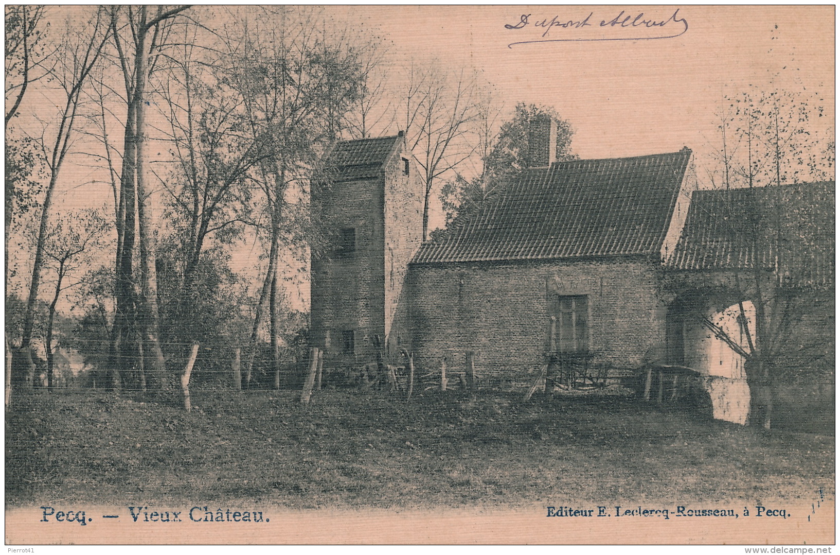 BELGIQUE - PECQ - Vieux Château - Pecq