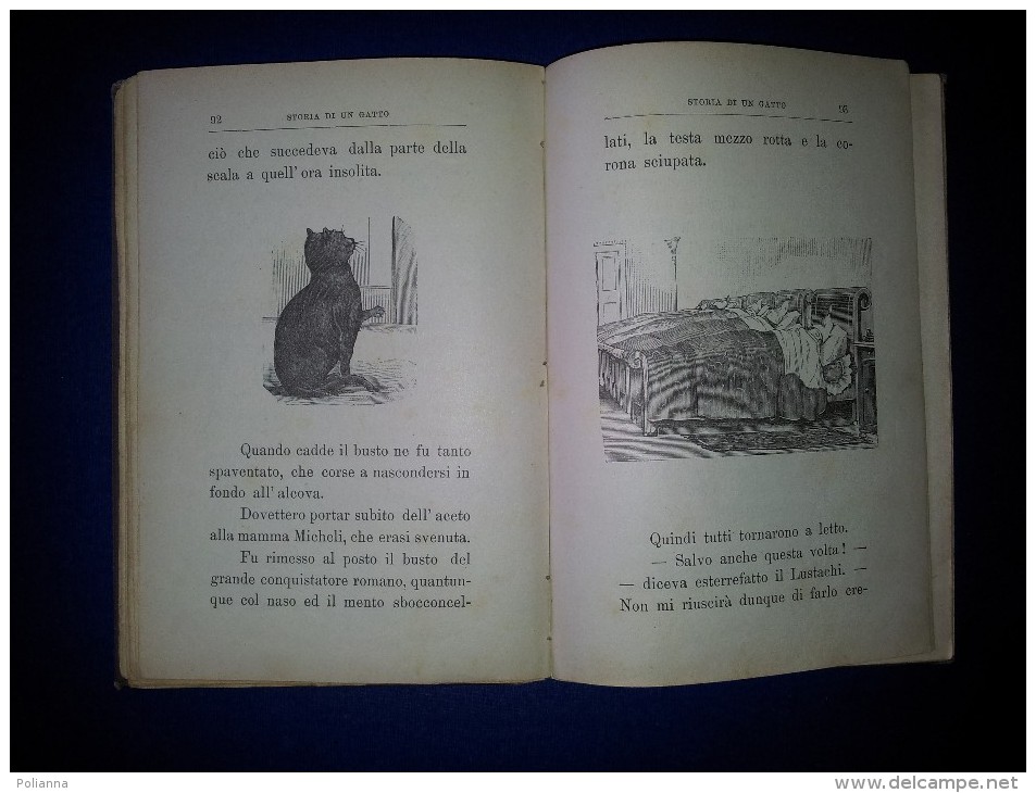 M#0P73 Elisa Cappelli STORIA DI UN GATTO Salani Ed.1908/llustrazioni Di A. Bongini - Antiguos