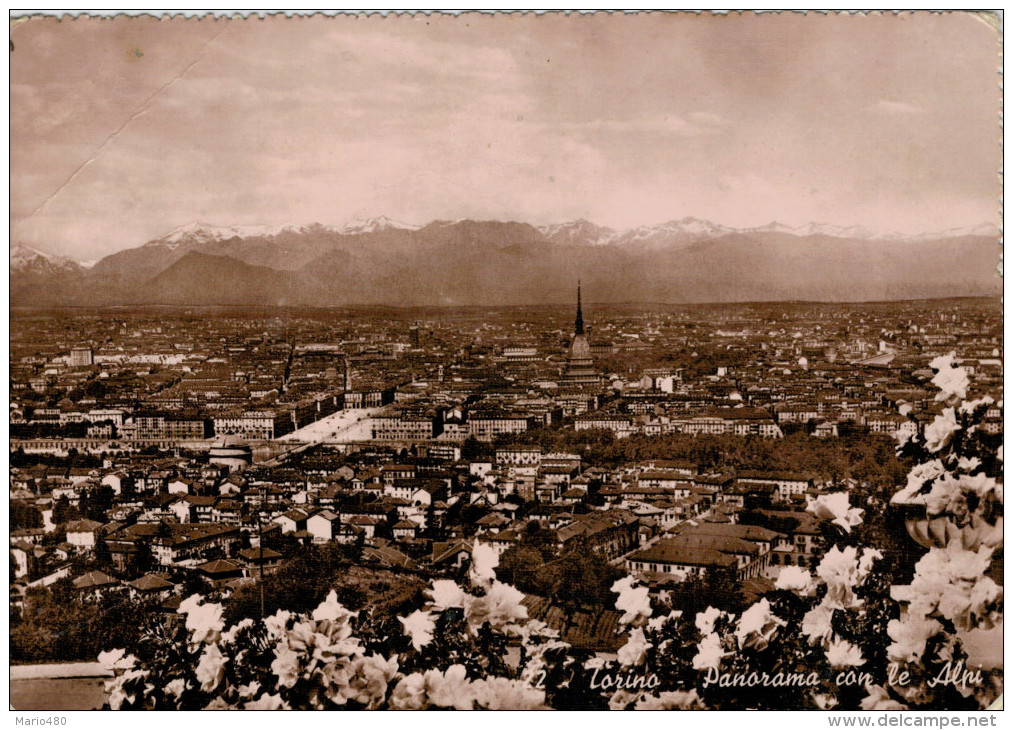 TORINO  PANORAMA  CON LE  ALPI       (VIAGGIATA) - Parks & Gärten