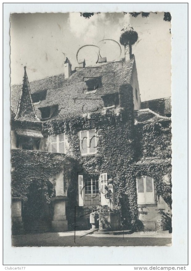 Sélestat (67) :La Maison Weiler En 1950 GF. - Selestat