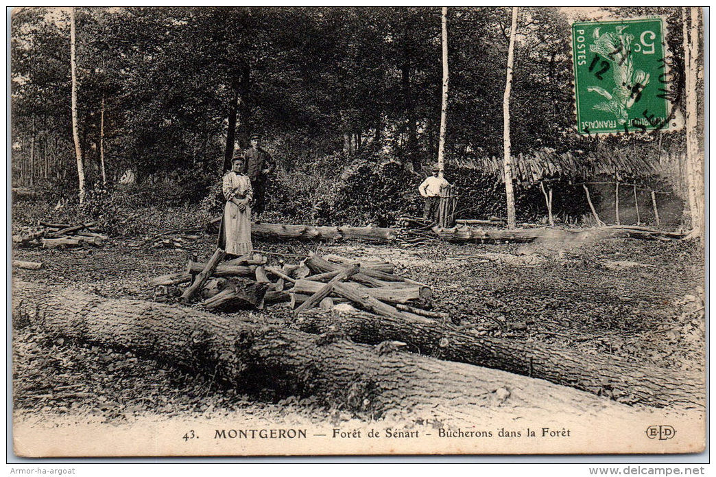 91 MONTGERON - Foret De Sénart - Bucheron En Foret - Montgeron