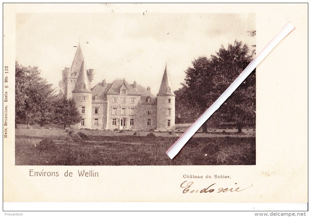 Environs De WELLIN - Château De Sohier - Carte Circulée En 1904 - Wellin
