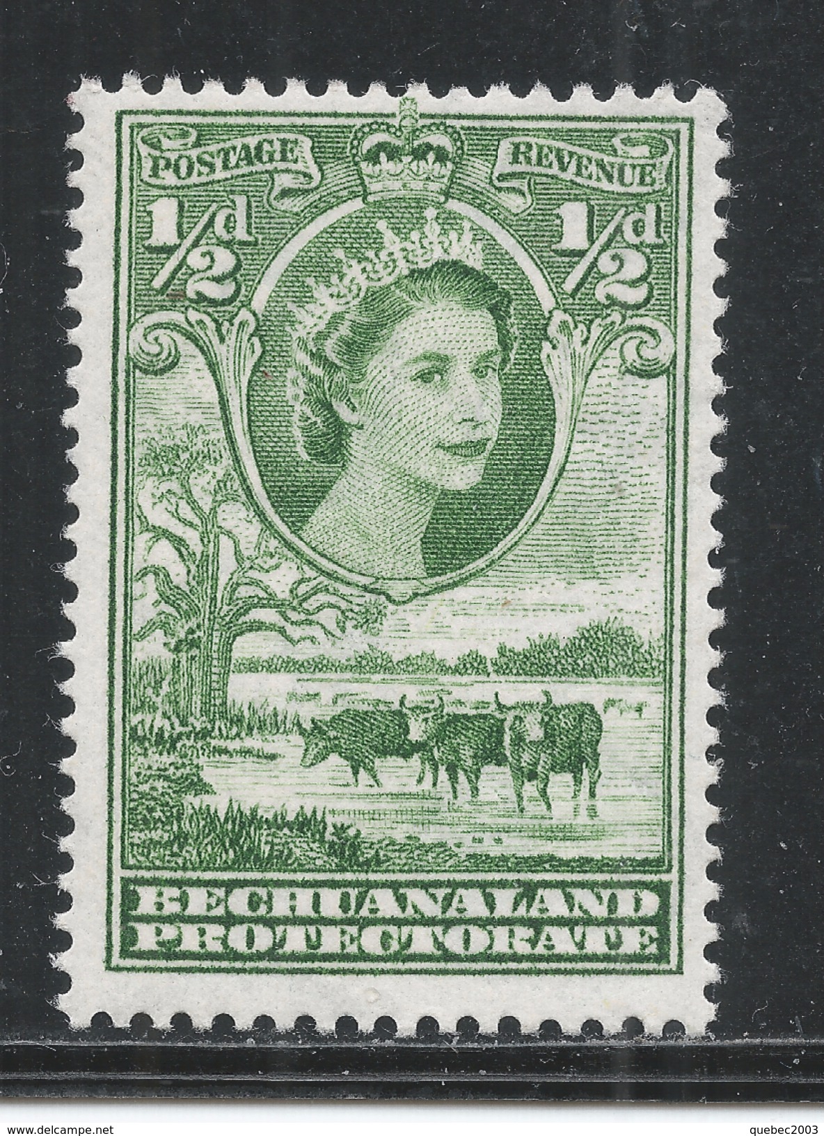 Bechuanaland Protectorate 1955. Scott #154 (M) Queen Elizabeth II And Boabab Tree * - 1885-1964 Bechuanaland Protectorate