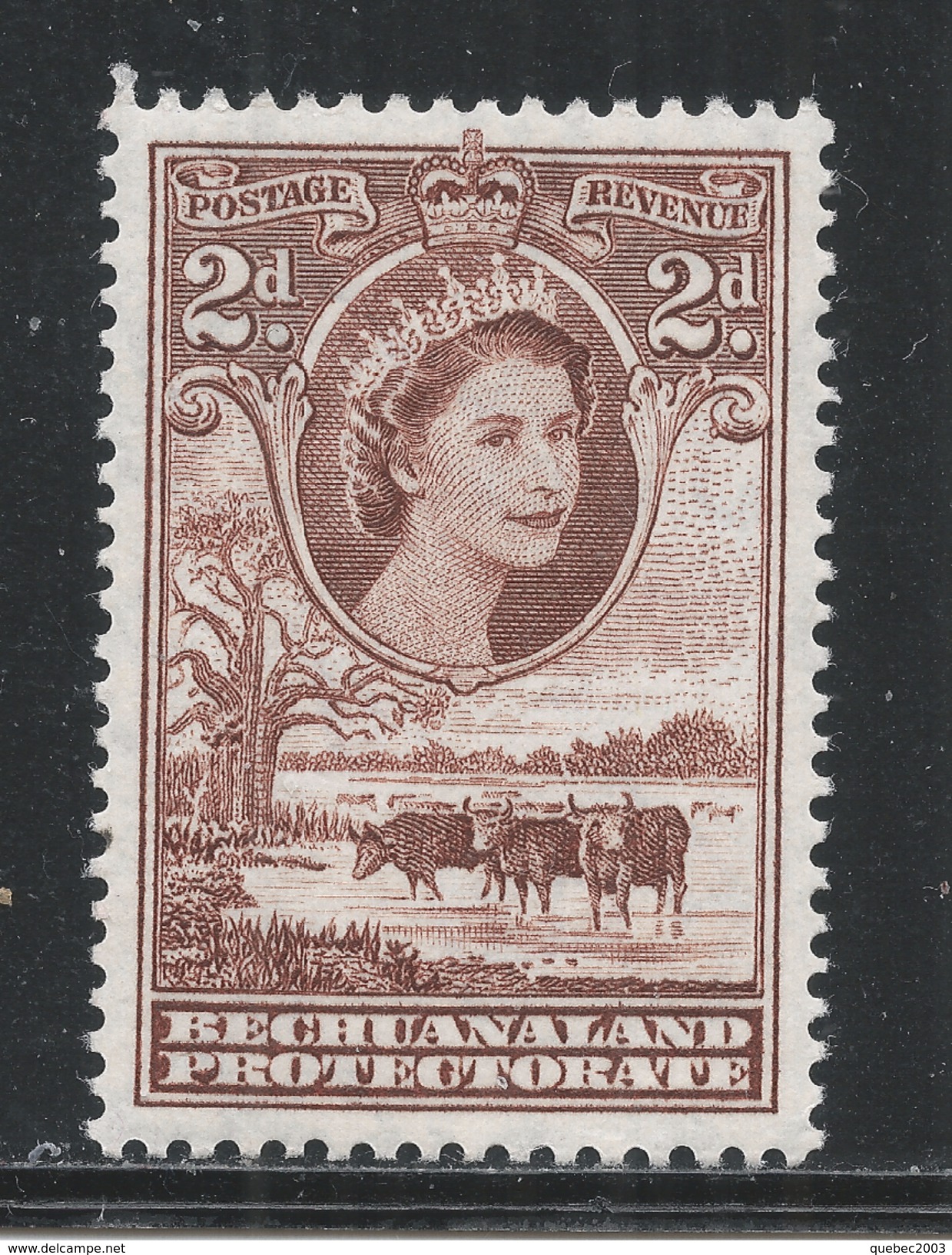 Bechuanaland Protectorate 1955. Scott #156 (M) Queen Elizabeth II And Boabab Tree * - 1885-1964 Bechuanaland Protectorate