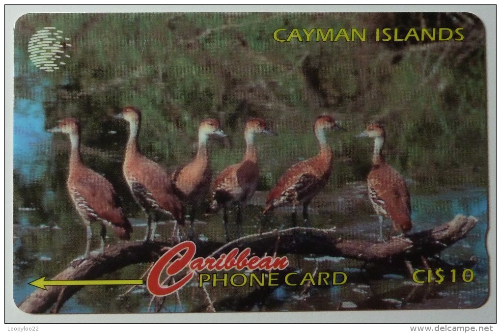 CAYMAN ISLANDS - L&G - CAY-13A - Whistling Duck - 13CCIA - Used - Iles Cayman