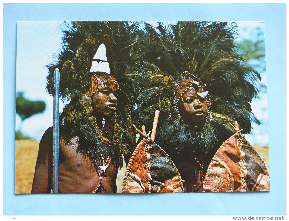 KENYA - MASAI Warriors (costumes, Coiffes) - Kenya