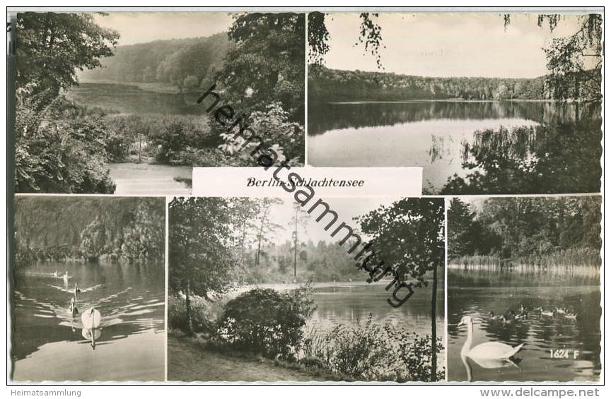 Berlin - Schlachtensee - Foto-Ansichtskarte - Zehlendorf