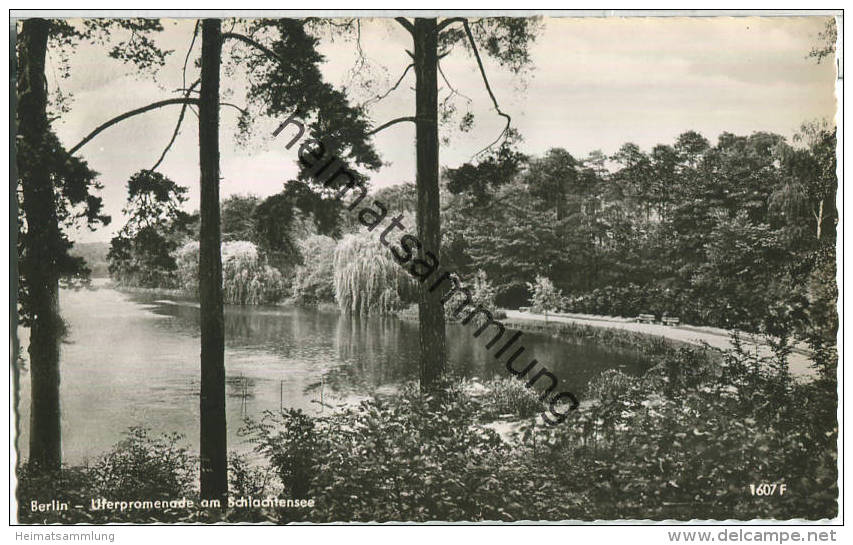 Berlin - Schlachtensee - Uferpromenade - Foto-Ansichtskarte - Zehlendorf