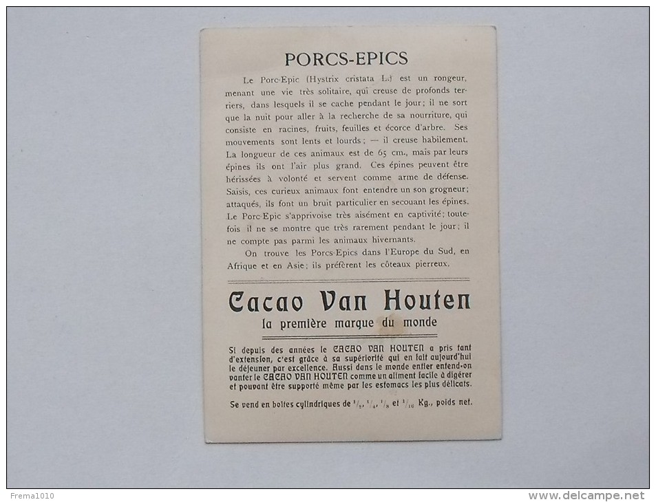 CHROMO VAN HOUTEN Chocolat: Le PORC-EPIC Animal Rongeur - Van Houten