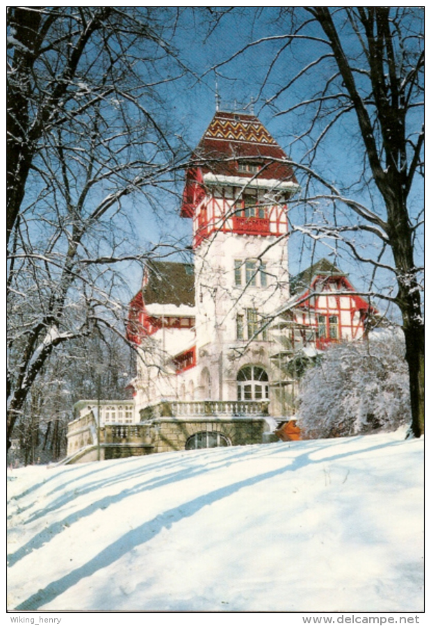 Hof An Der Saale - Theresienstein Im Winter - Hof