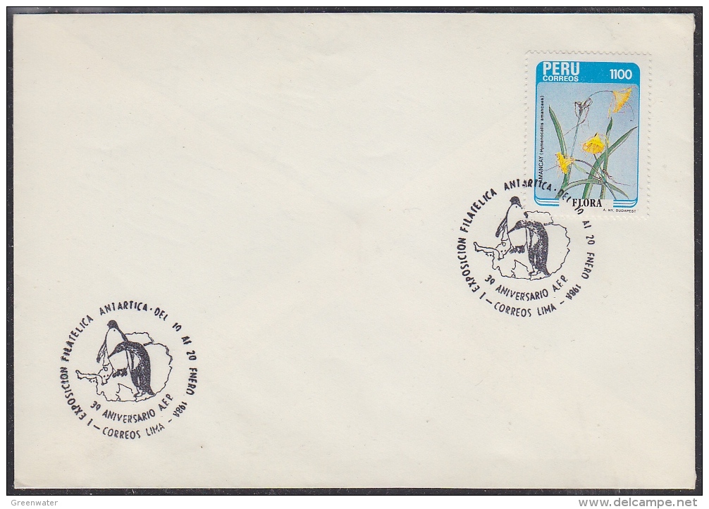 Peru 1984 Antarctica / 1 Exposicion Filatelica Antarctica Cover (29490) - Peru