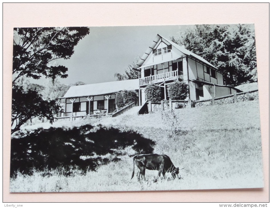 Hotel " SCHWARZWALD " Colonia Tovar Estado Aragua ( Foto C Koch ) Anno 19?? ( Zie Foto Details ) !! - Venezuela