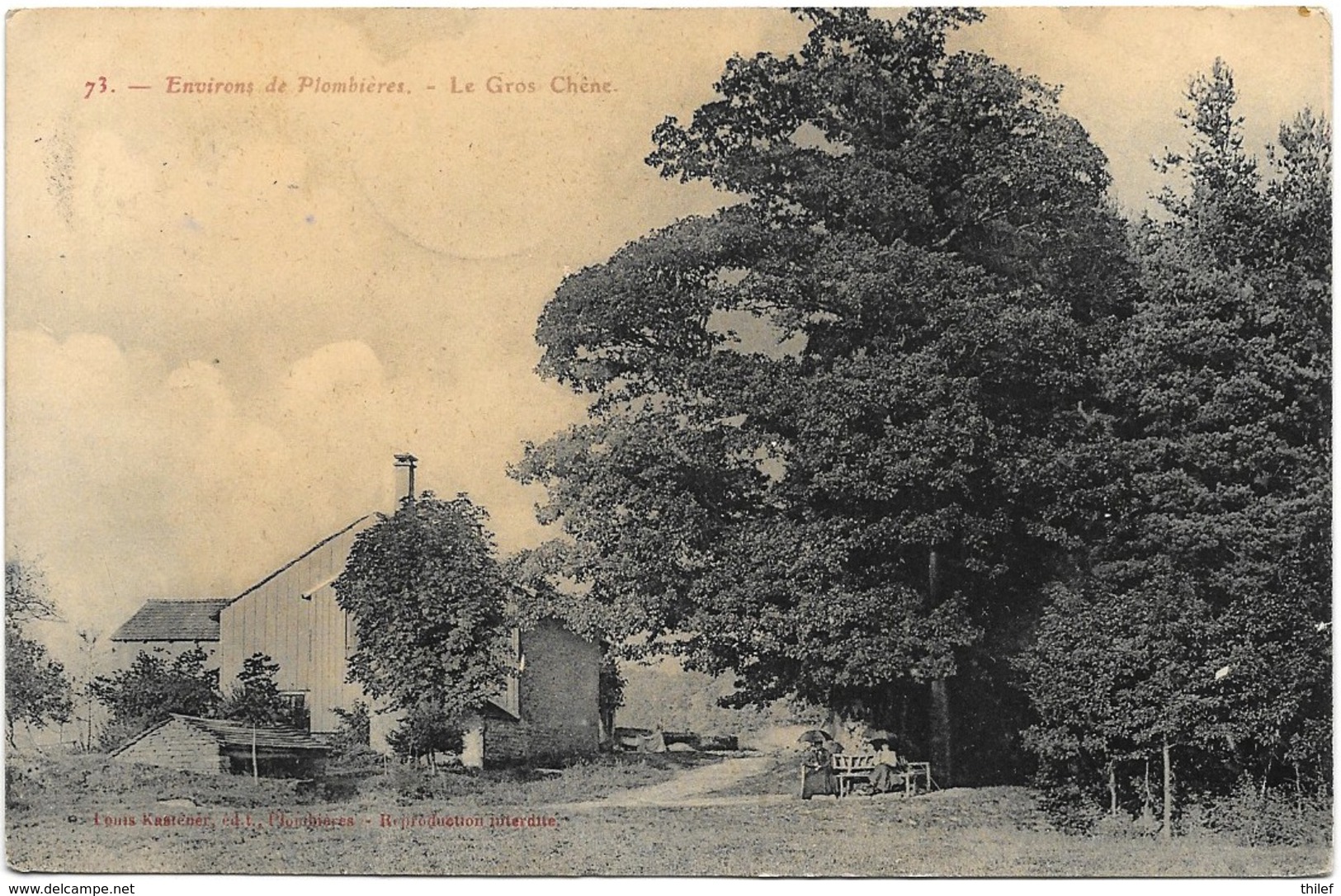 Environs De Plombières NA1: Le Gros Chêne 1911 - Plombières