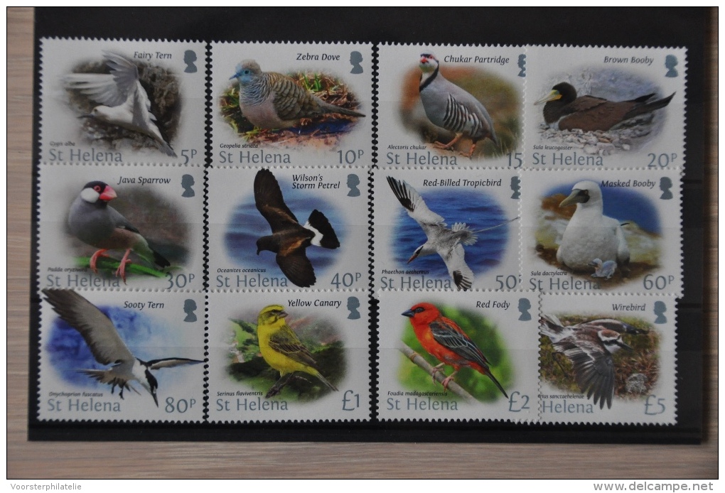 G 344 ++ ST HELENA 2015 BIRDS VOGELS OISEAUX MNH POSTFRIS - Otros & Sin Clasificación