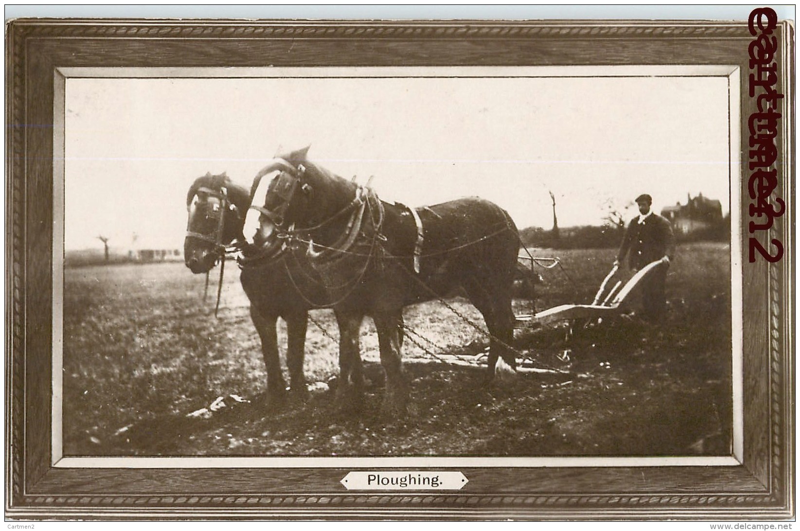 PLOUGHING HARNESS PLOWING PLOWING FARMING ATTELAGE LABOURAGE LABOUR AGRICULTURE METIER HERSE - Cultivation