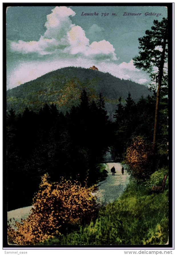 Blick Nach Der Lausche  - Zittauer Gebirge  -  Ansichtskarte Ca. 1914    (5788) - Stadtroda