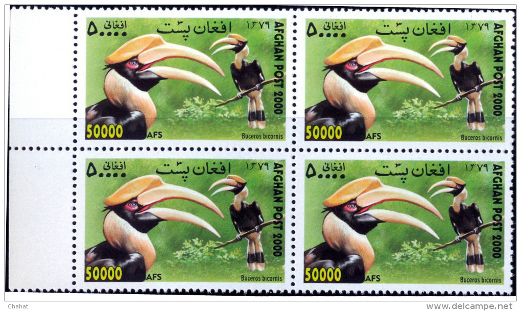 BIRDS-HORNBILLS-AFGHANISTAN-2000-BLOCK OF 4-MNH-SCARCE-B9-655 - Specht- & Bartvögel