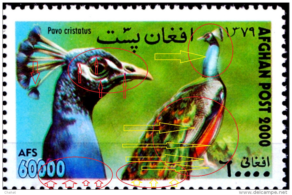 BIRDS-PHEASANTS-PEACOCKS-AFGHANISTAN-2000-BLOCK OF 4-ERROR-MNH-SCARCE-B9-653 - Pauwen