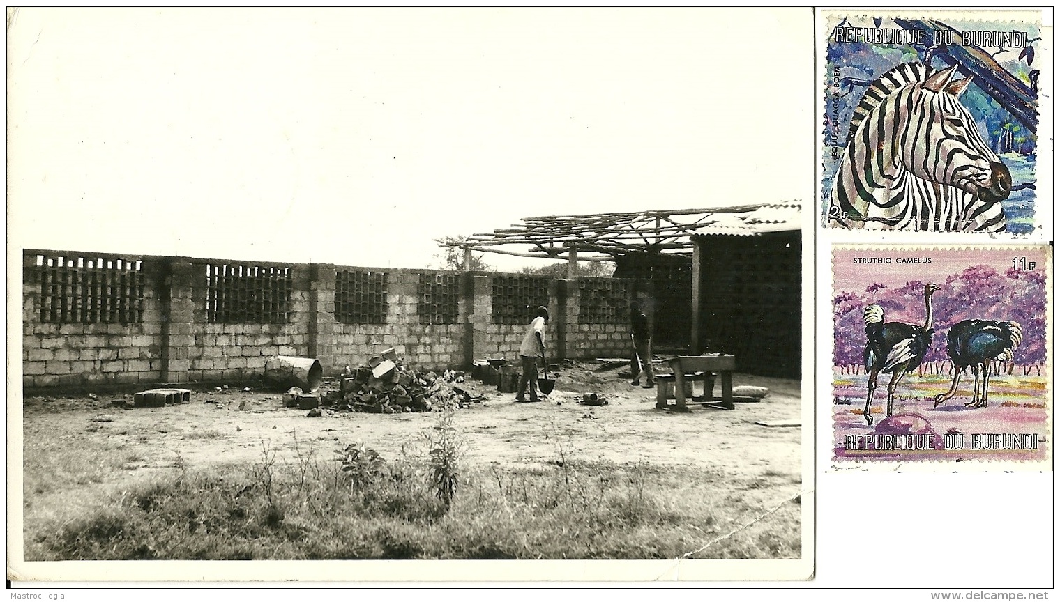 BURUNDI  KABULANTWA  Photocard  Men At Work  Nice Stamps  Animal Theme - Burundi