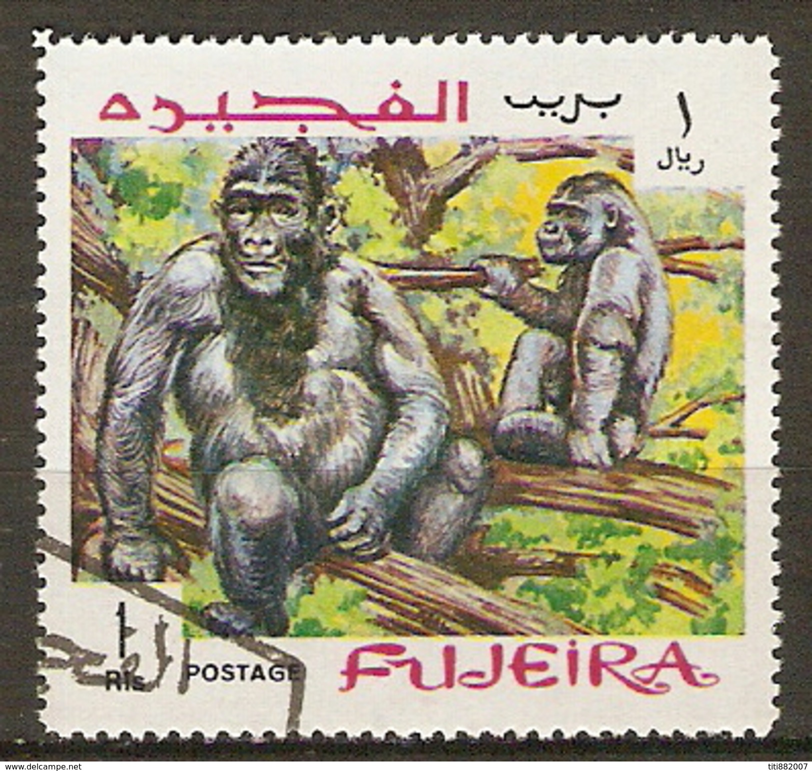 FUJEIRA    -    GORILLE     -      Oblitéré - Gorilles