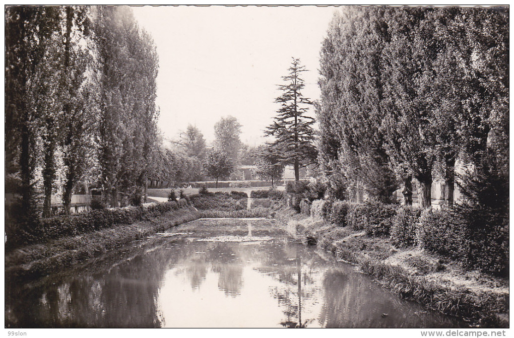 CARRIERES-sur-SEINE (78) - Vue Du Parc - Carrières-sur-Seine