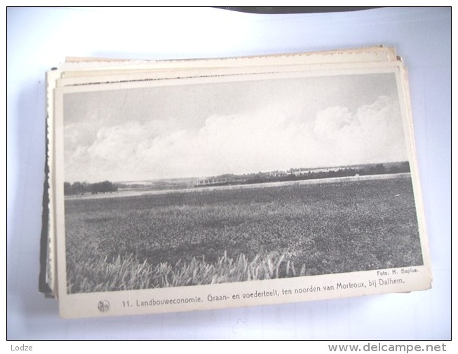 België Belgique Luik Liège Dalhem Bij Mortroux Graanteelt - Dalhem