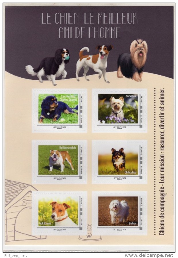 TIMBRE - FRANCE - CHIENS DE COMPAGNIE - BLOC COLLECTOR 6 TIMBRES AUTOCOLLANTS VALIDITE PERMANENTE - LETTRE VERTE 20g - - Collectors