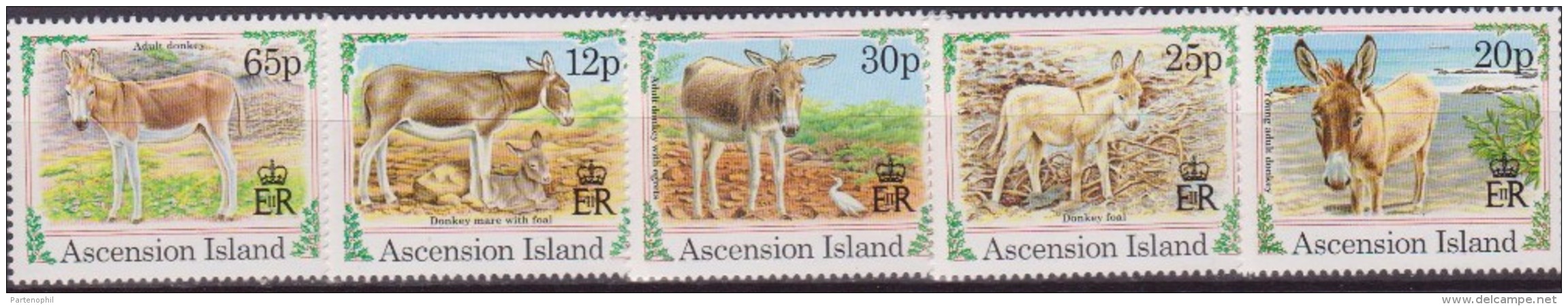 ASCENSION IS. DONKEY ASINI 618/22 MNH - Anes