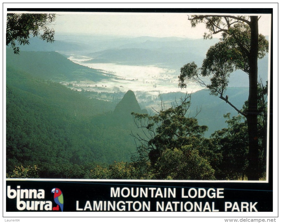 (244) Australia - QLD - Lamington NP - Outback