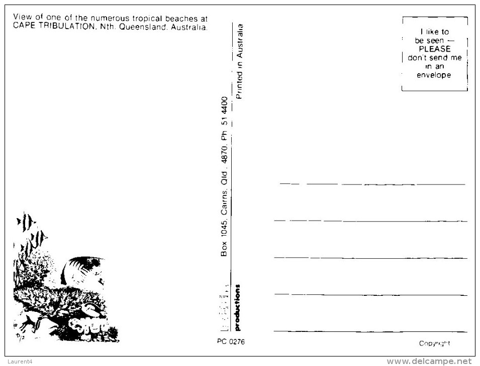 (244) Australia - QLD - Cape Tribulation Beach - Far North Queensland