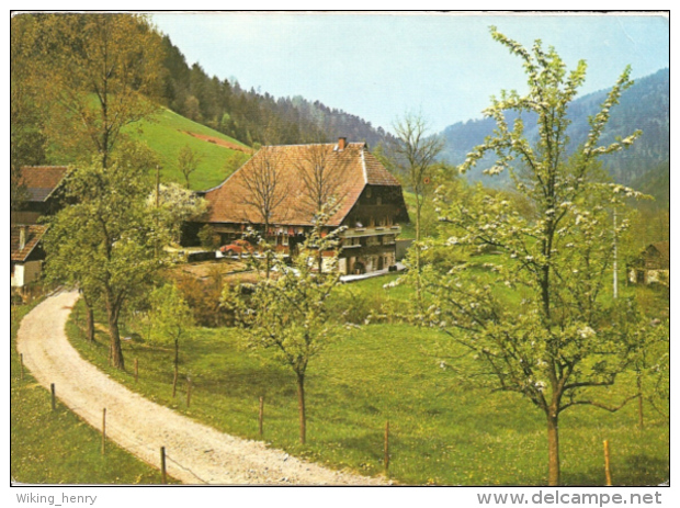 Hornberg - Frühling Bei Hornberg - Hornberg