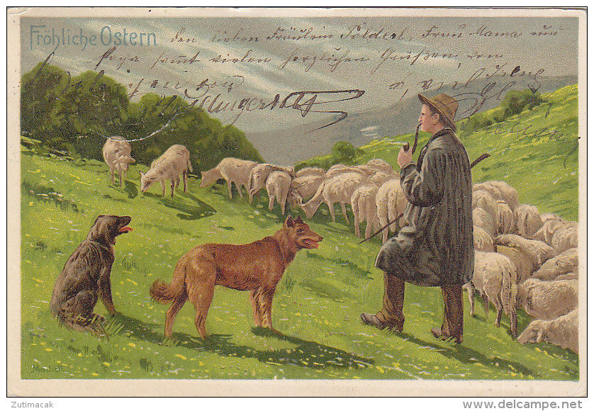 Alfred Mailick - Frohliche Ostern Easter Shepherd Sheep Lamb Dog 1905 - Mailick, Alfred