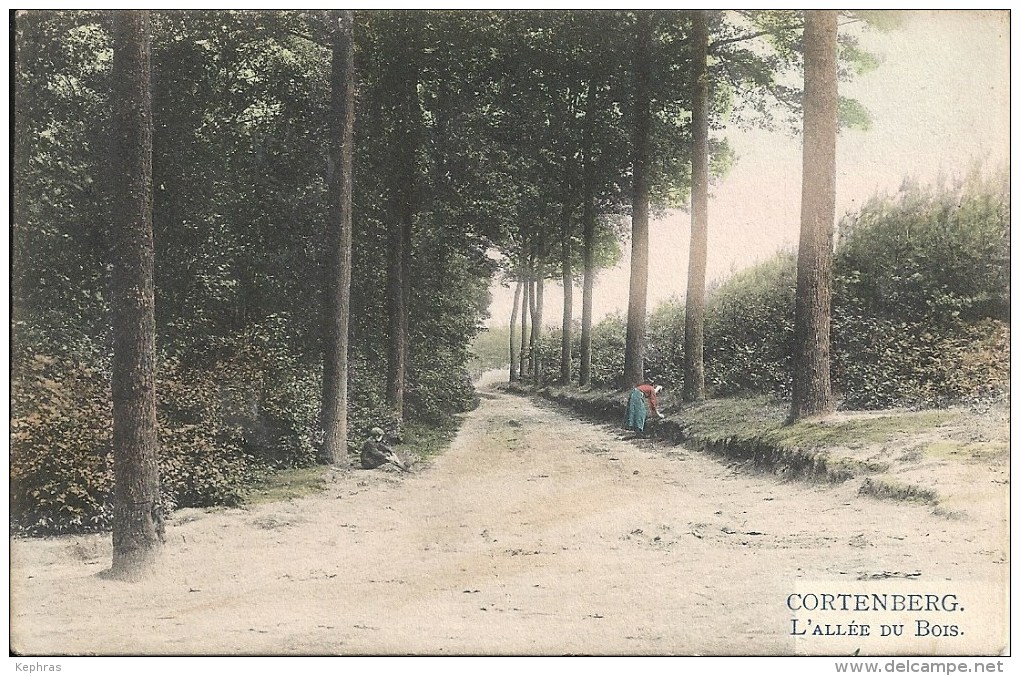 CORTENBERG - KORTENBERG : L'Allée Du Bois - RARE COLORISEE - Cachet De La Poste 1920 - Kortenberg