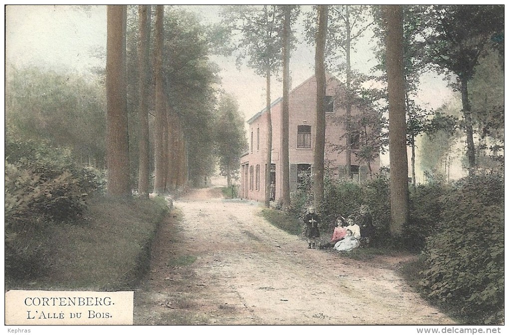 CORTENBERG - KORTENBERG : L'Allée Du Bois - RARE COLORISEE - Cachet De La Poste 1925 - Kortenberg