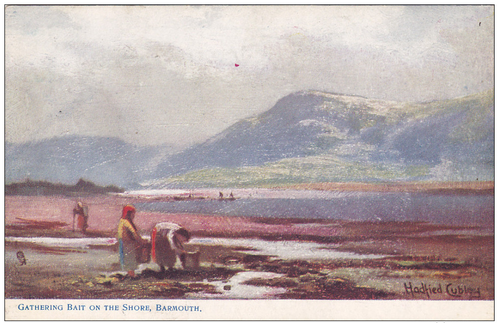 BARMOUTH, Wales, PU-1906; Gathering Bait On The Shore - Other & Unclassified