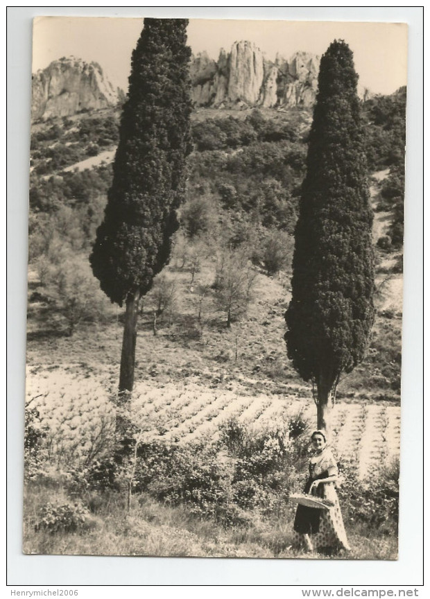 Vaucluse - 84 - Beaumes De Venise Les Dentelles De Montmirail Carte Photo Gal De Carpentras - Beaumes De Venise