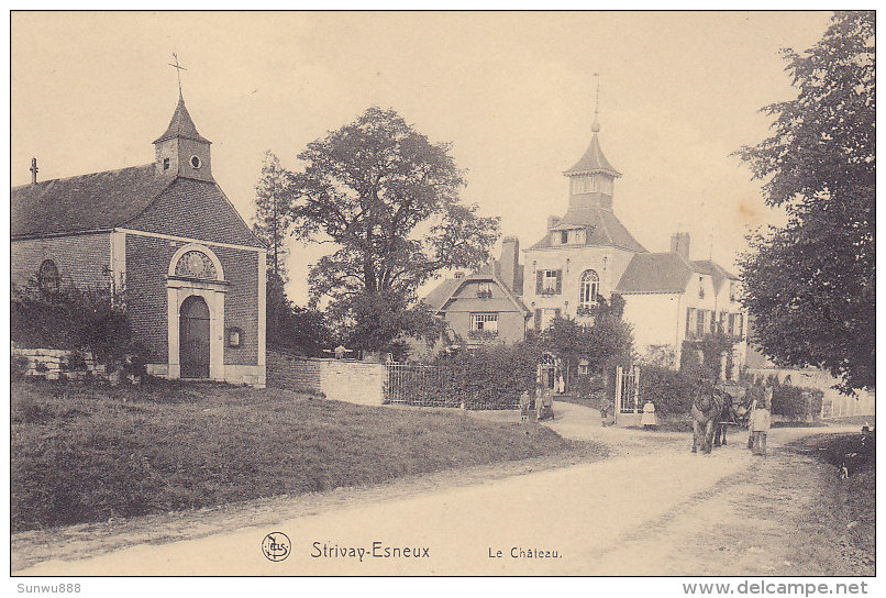Strivay-Esneux - Le Château (animée, Attelage, Cheval, Edit Bicheroux) - Esneux