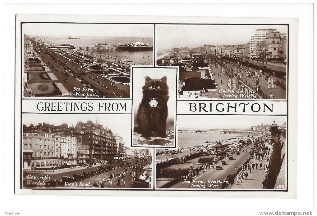 14426  - Greetings From Brighton Chat Noir - Brighton