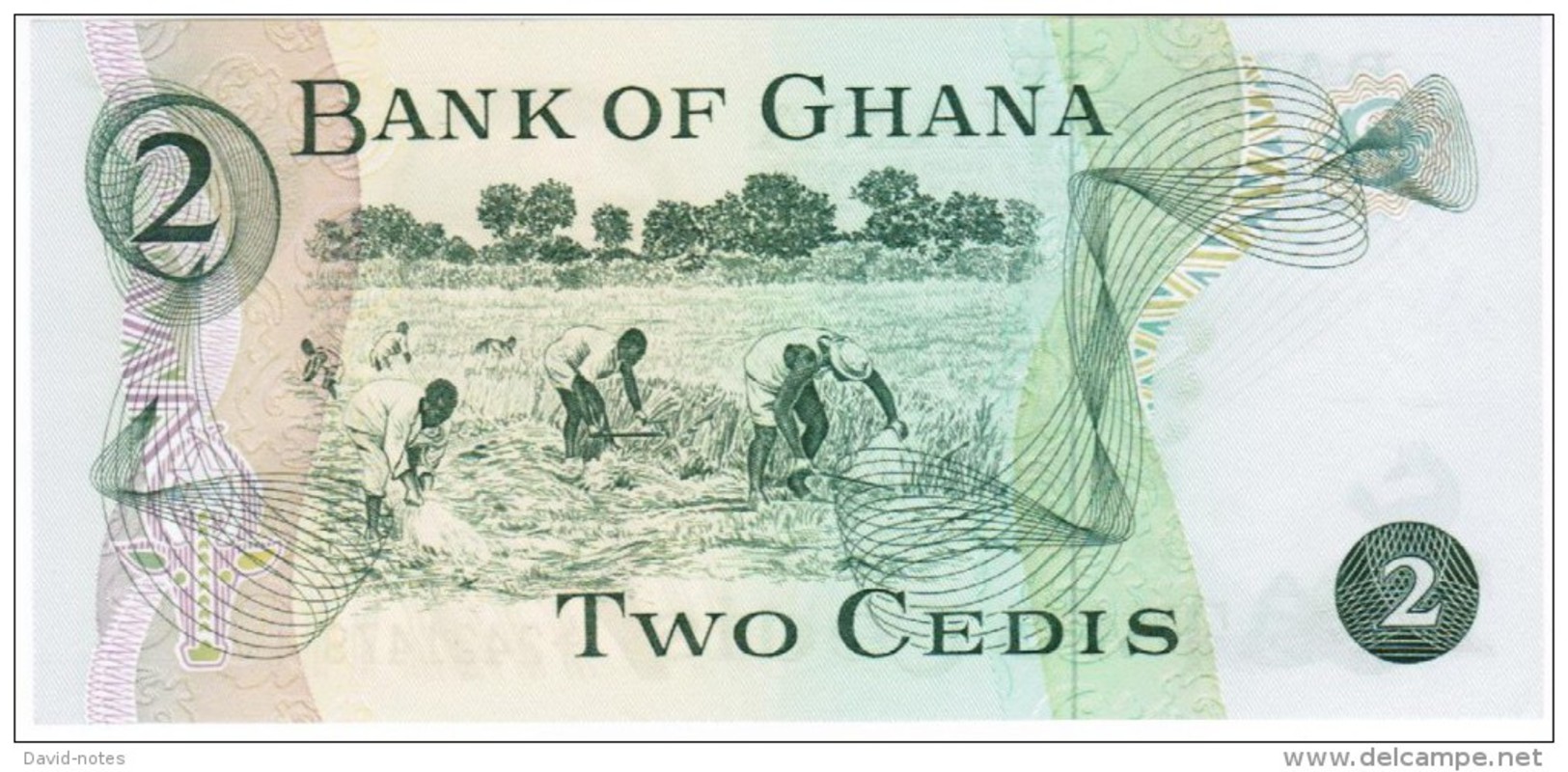 Ghana - Pick 14c -2 Cedis 1977 - Unc - Ghana