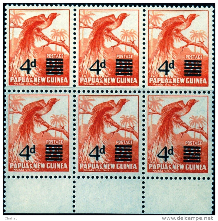 BIRDS-RAGGIANA BIRD OF PARADISE-SURCHARGED-DOWNRATED-BLOCK OF 6-OVPT-PAPUA NEW GUINEA-1957-MNH-SCARCE-B9-594 - Pics & Grimpeurs