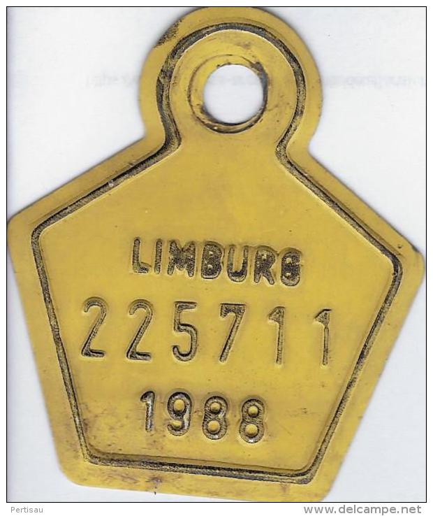 Fiets Limburg 1988 - Plaques D'immatriculation