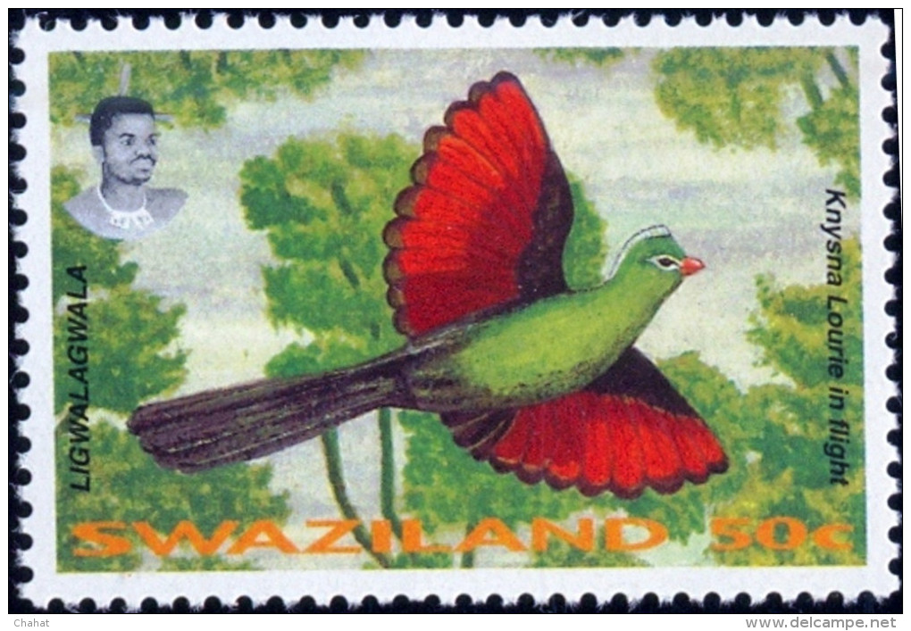 BIRDS-TOURACOS-LORIKEETS-SET OF 4-SWAZILAND-1995-SCARCE-MNH-B9-598 - Coucous, Touracos