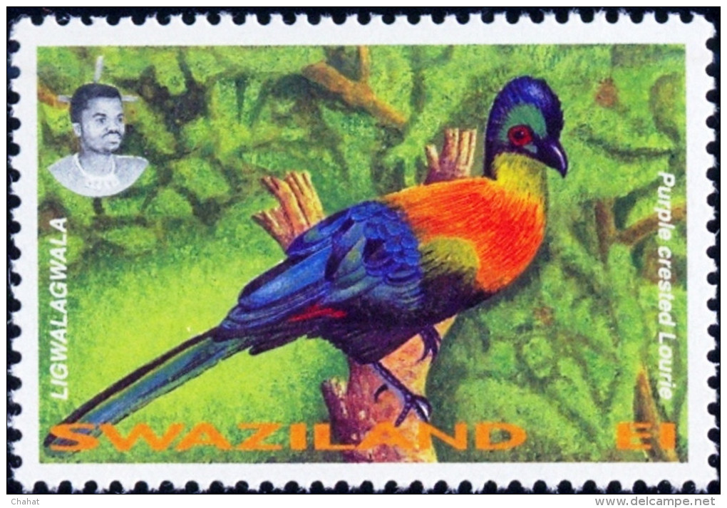 BIRDS-TOURACOS-LORIKEETS-SET OF 4-SWAZILAND-1995-SCARCE-MNH-B9-598 - Coucous, Touracos