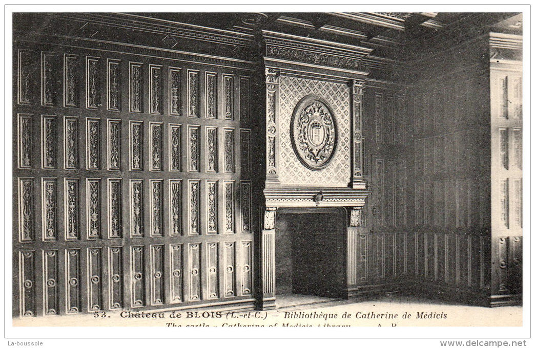 THEME - BIBLIOTHEQUE  - La Bibliothèque Du Château De BLOIS --- - Bibliothèques