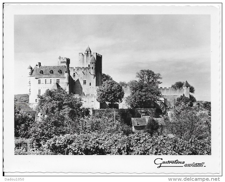 Format CPSM 24 Le Chateau De Beynac - Autres & Non Classés