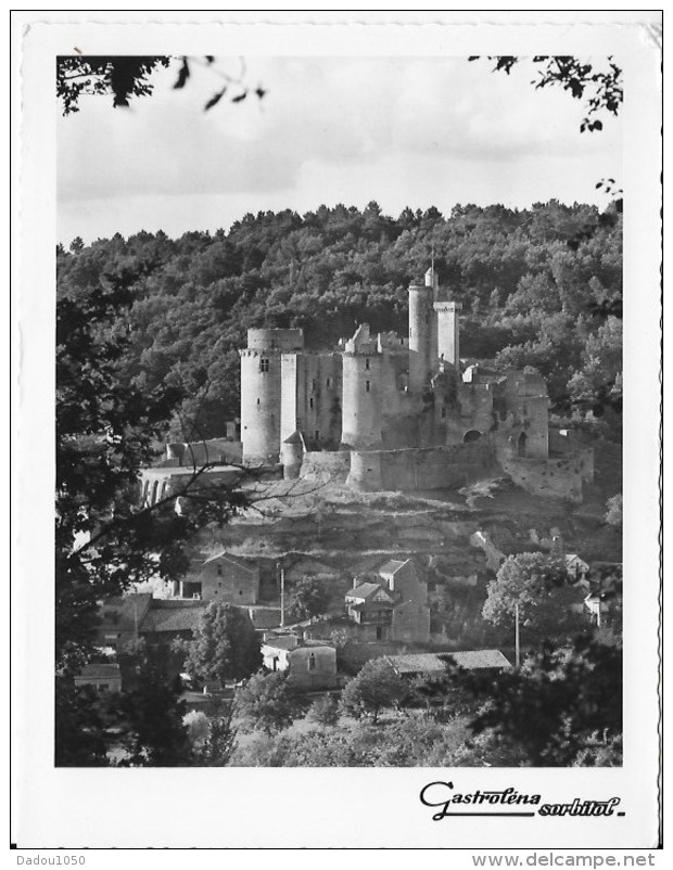 Format CPSM 24 Le Chateau De Bonaguil - Autres & Non Classés