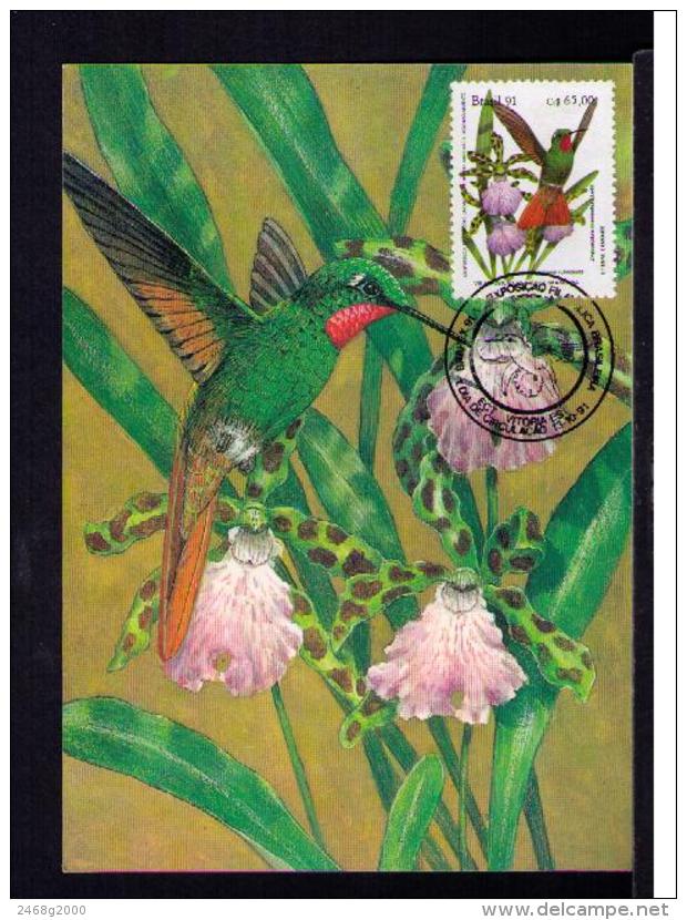 Clytolaema Ribricauda NATIONS UNITS Brapex VIII-91 Oiseaux Birds Faune Animals Animaux TRIPLE Maximum Card BRAZIL Mc565 - Other & Unclassified